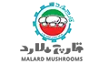 قارچ ملارد