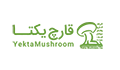 یکتا