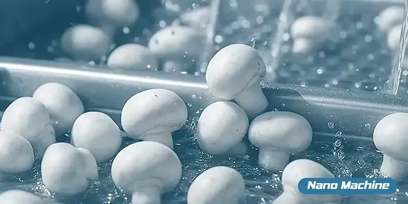 ماشین آلات فرآوری قارچ