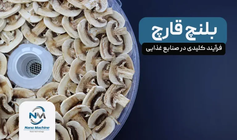 بلنچ قارچ: فرآیند کلیدی در صنایع غذایی