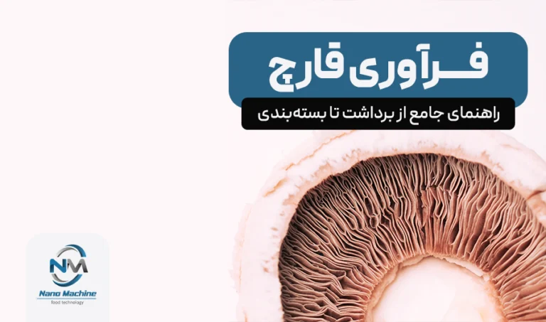 فرآوری قارچ: راهنمای جامع از برداشت تا بستهبندی