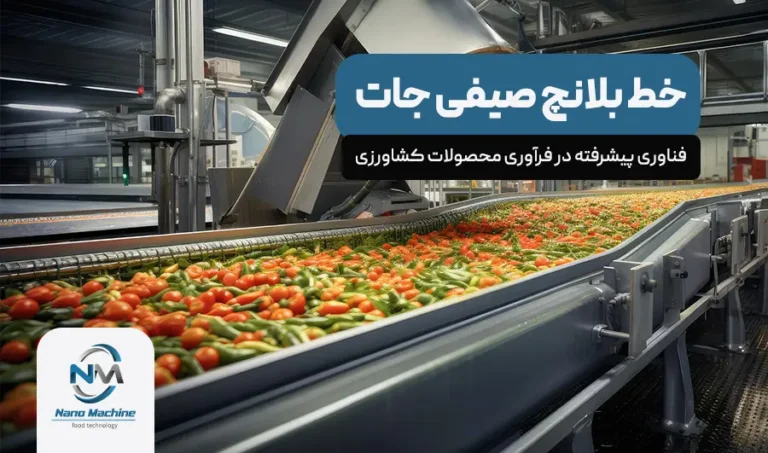 خط بلانچ صیفی جات: فناوری پیشرفته در فرآوری محصولات کشاورزی