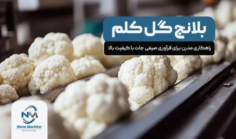 خط بلانچ گل کلم: راهکاری مدرن برای فرآوری صیفی جات با کیفیت بالا