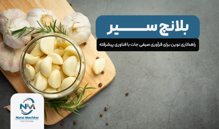 بلنچ سیر: راهکاری نوین برای فرآوری صیفی جات با فناوری پیشرفته