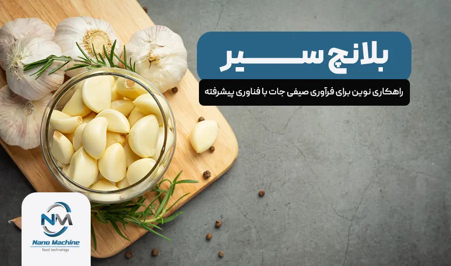 بلنچ سیر