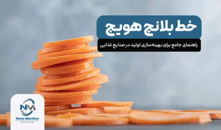 خط بلانچ هویج: راهنمای جامع برای بهینه‌سازی تولید در صنایع غذایی