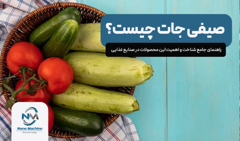 صیفی جات چیست؟ راهنمای جامع شناخت و اهمیت این محصولات در صنایع غذایی