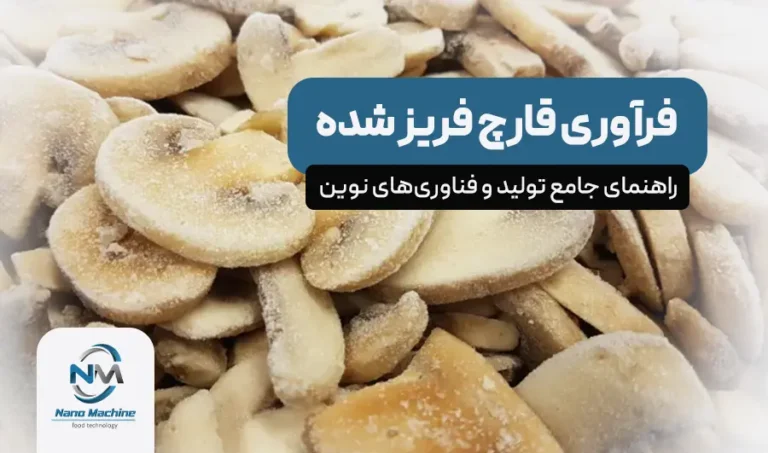 فرآوری قارچ فریز شده: راهنمای جامع تولید و فناوری‌های نوین