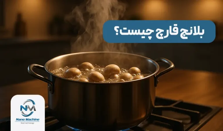 بلانچ قارچ چیست؟