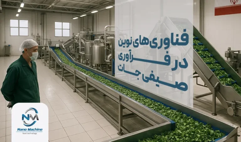 فناوری‌های نوین در فرآوری صیفی جات: از شستشو تا بسته‌بندی
