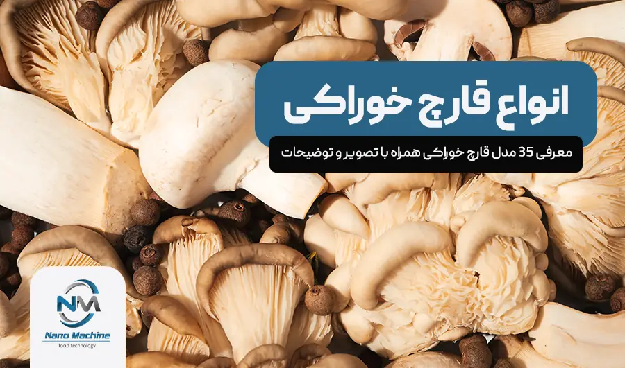 انواع قارچ خوراکی