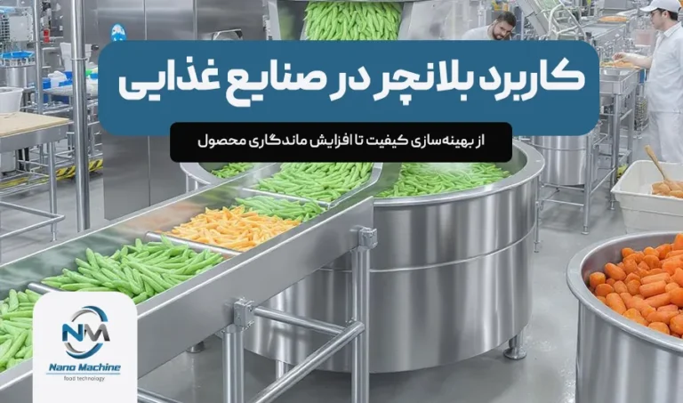 کاربرد بلانچر در صنایع غذایی: از بهینه‌سازی کیفیت تا افزایش ماندگاری محصول