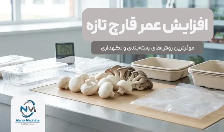 افزایش عمر قارچ تازه: موثرترین روش‌های بسته‌بندی و نگهداری