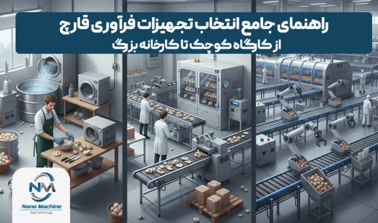 راهنمای جامع انتخاب تجهیزات فرآوری قارچ: از کارگاه کوچک تا کارخانه بزرگ